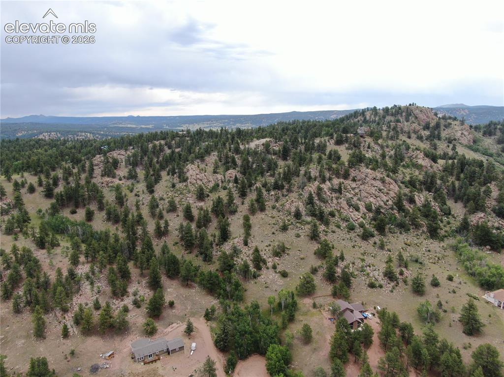 76 Crocus Circle Florissant CO 80816