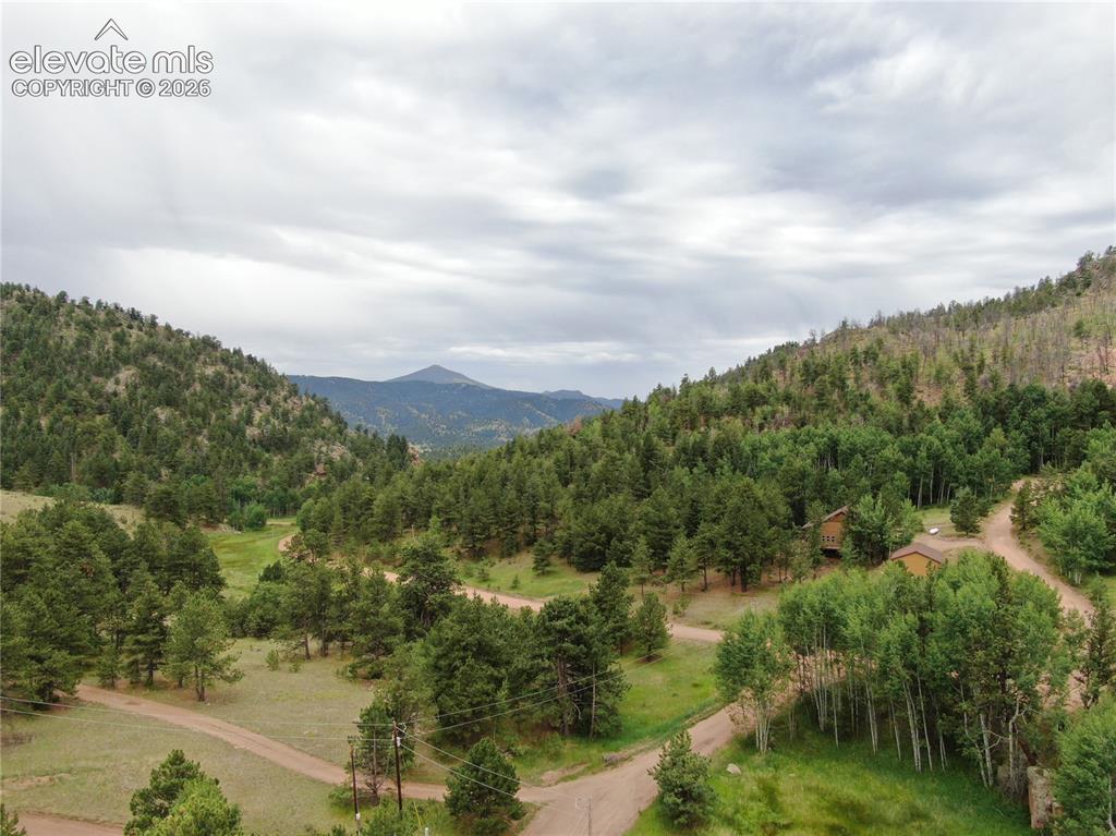 76 Crocus Circle Florissant CO 80816