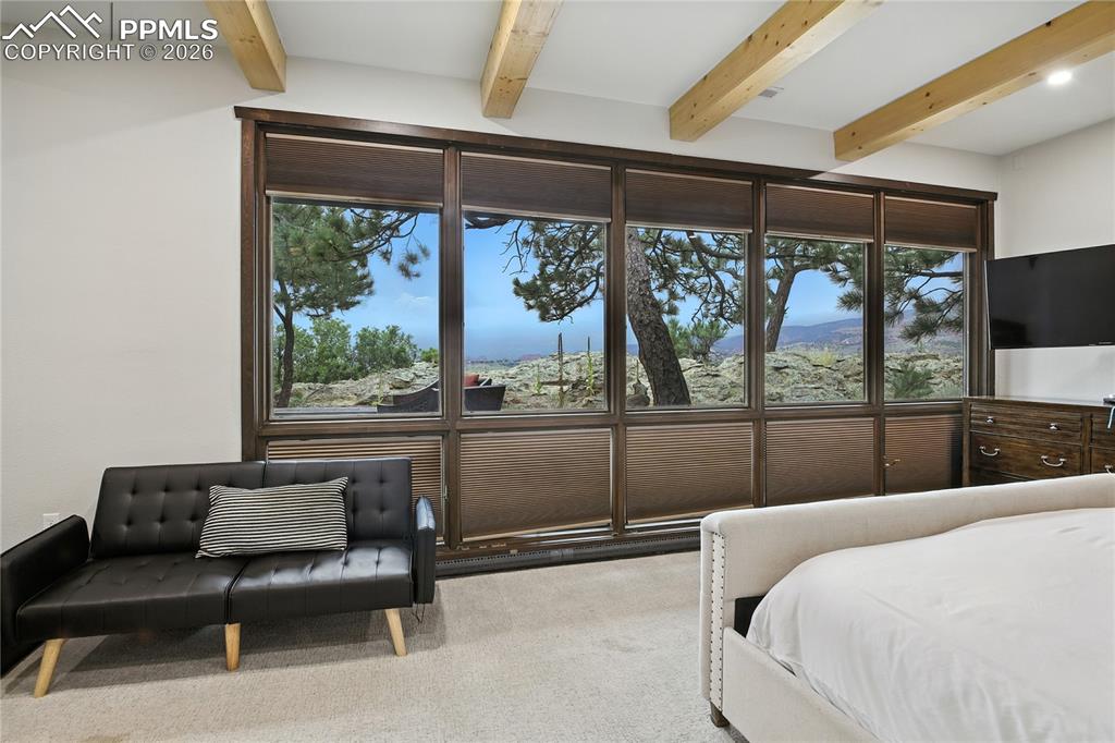 1420 Point Of The Pines Drive Colorado Springs CO 80919