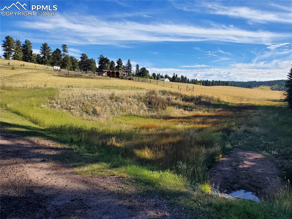 309 Pinaceae Heights Divide CO 80814