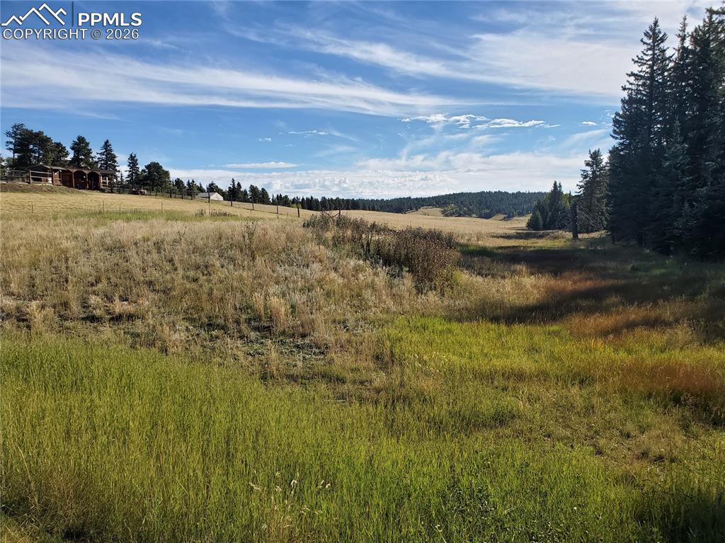 309 Pinaceae Heights Divide CO 80814