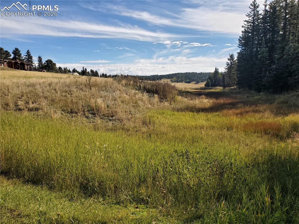 309 Pinaceae Heights Divide CO 80814
