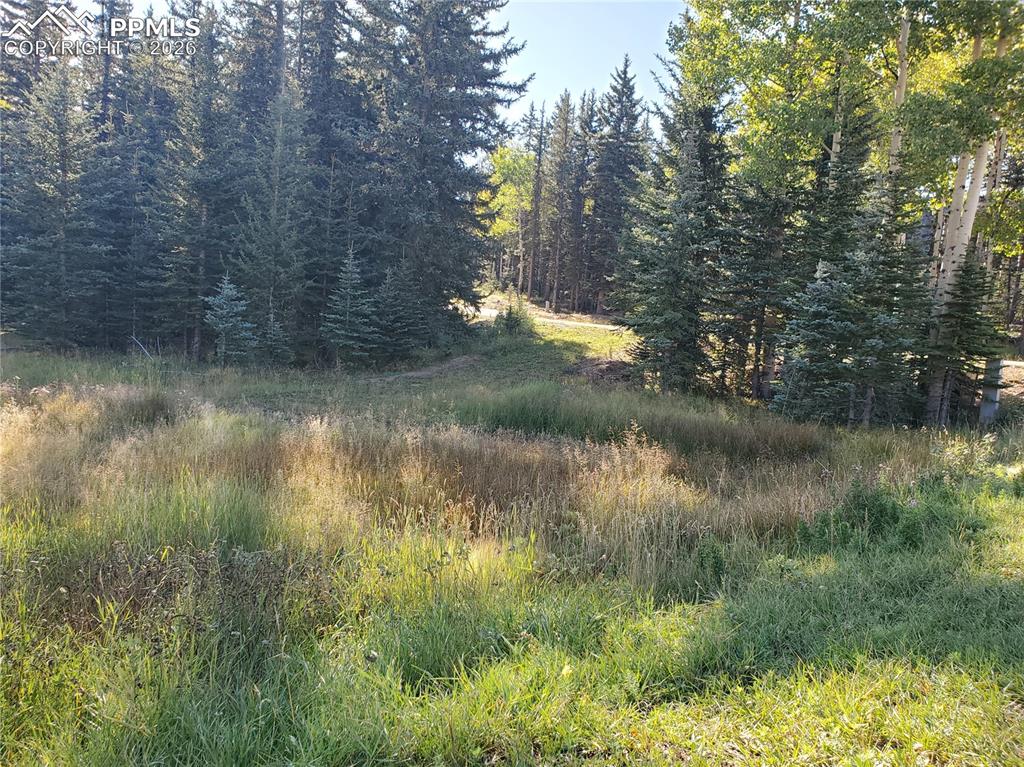 309 Pinaceae Heights Divide CO 80814