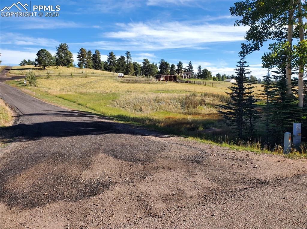 309 Pinaceae Heights Divide CO 80814