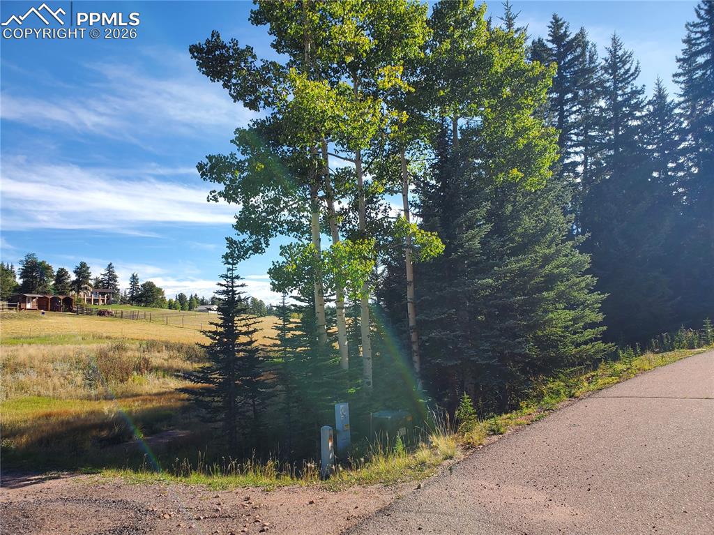309 Pinaceae Heights Divide CO 80814