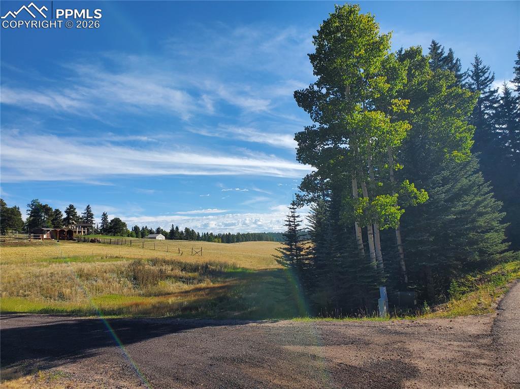309 Pinaceae Heights Divide CO 80814