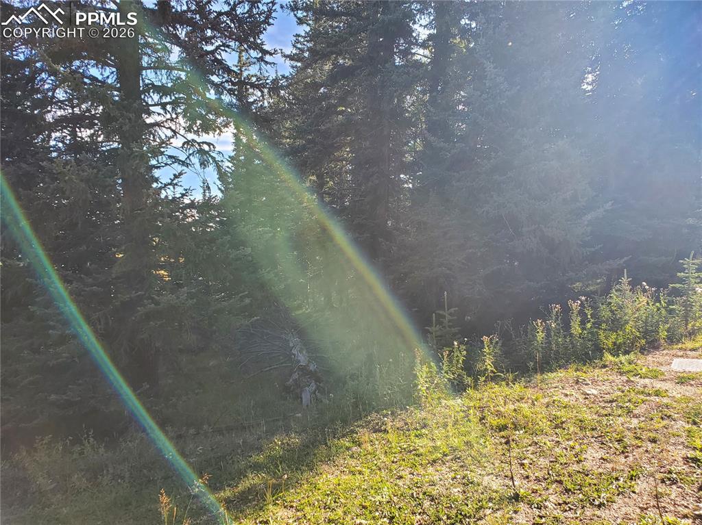 309 Pinaceae Heights Divide CO 80814