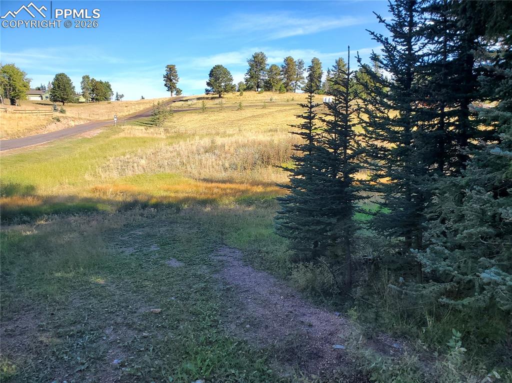 309 Pinaceae Heights Divide CO 80814