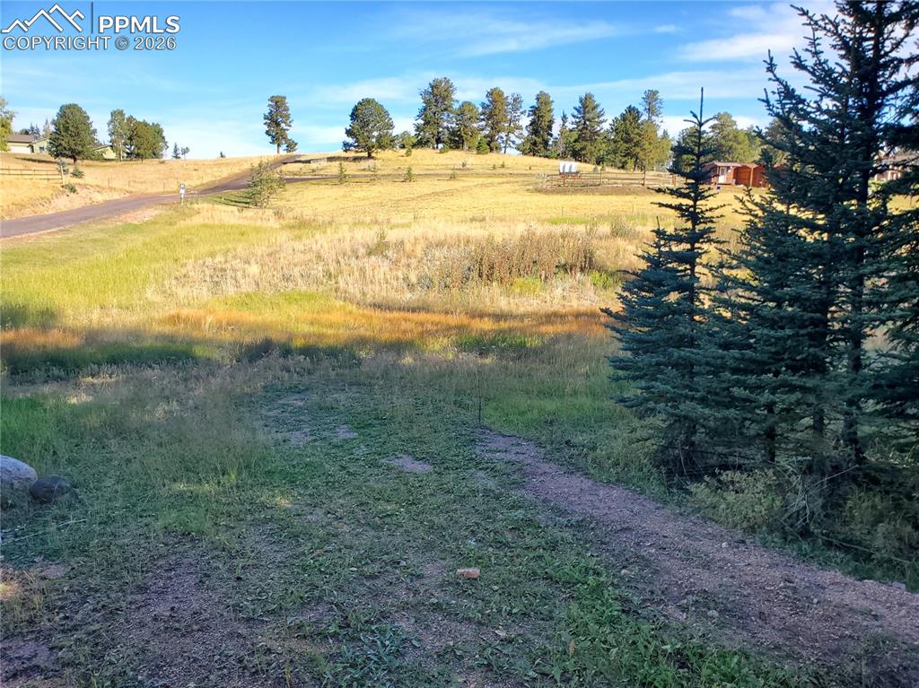 309 Pinaceae Heights Divide CO 80814