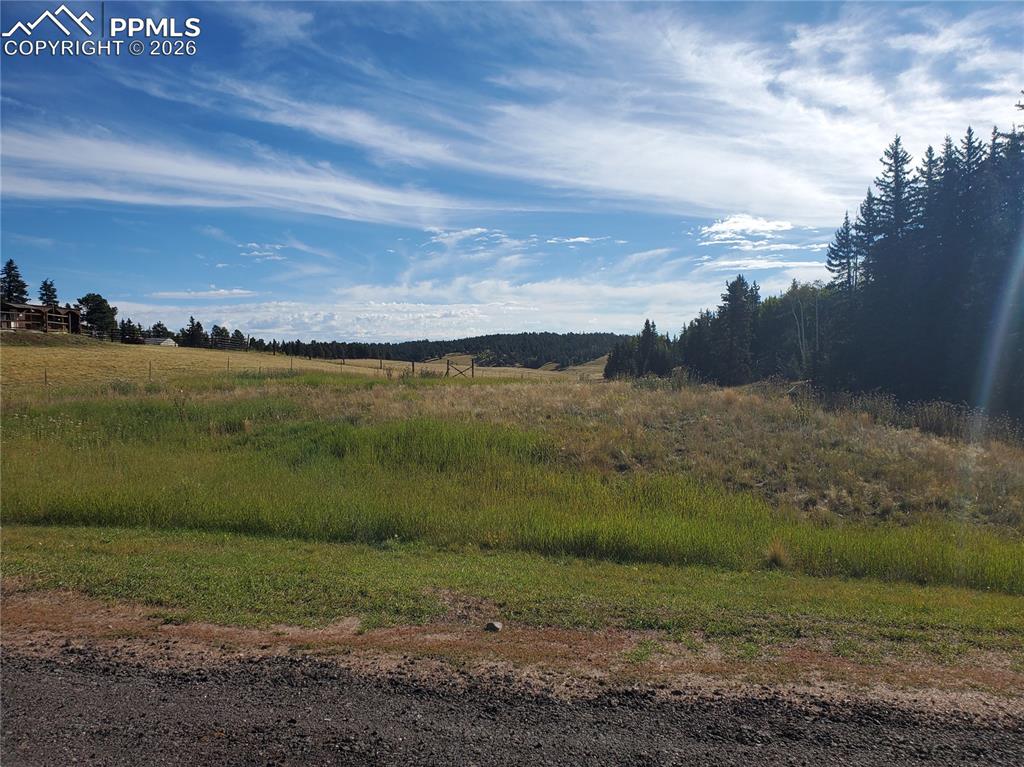 309 Pinaceae Heights Divide CO 80814