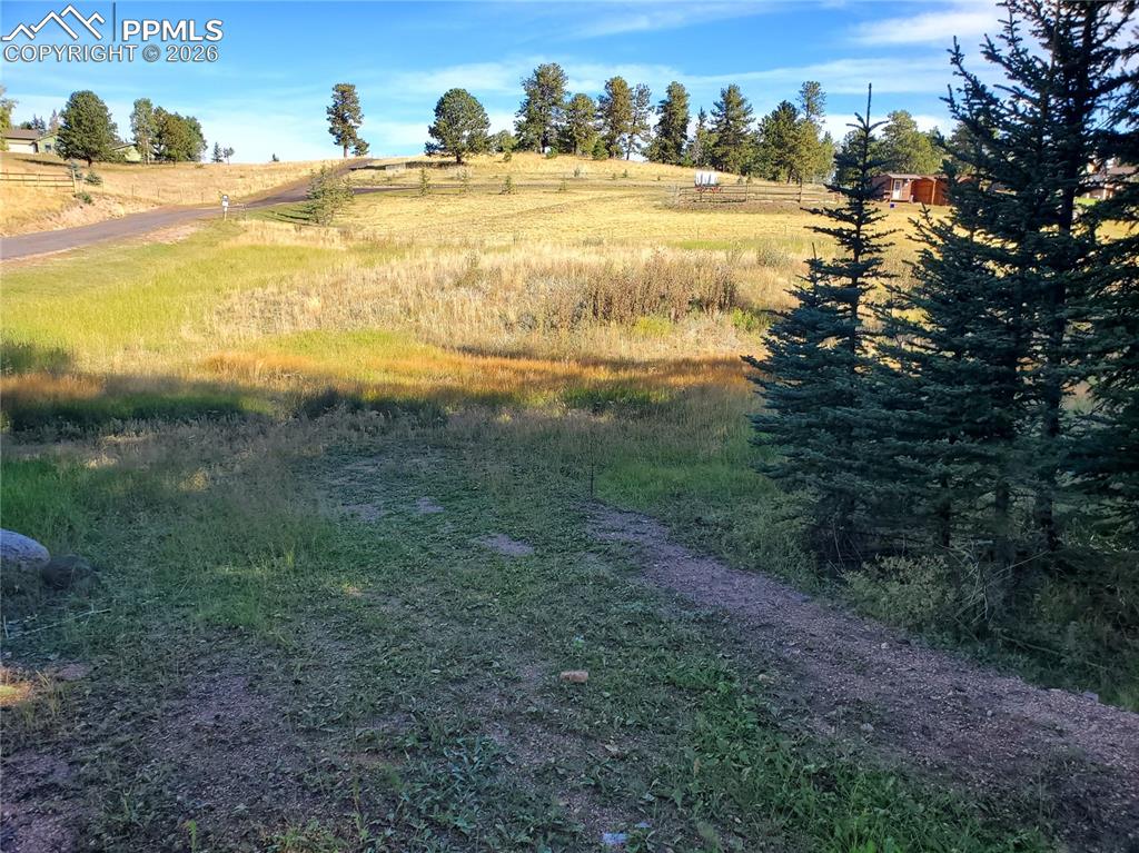 309 Pinaceae Heights Divide CO 80814