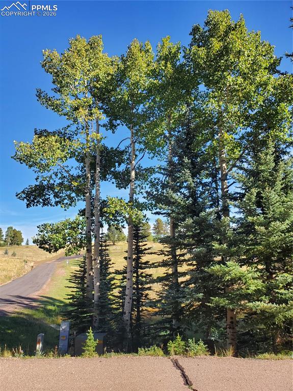 309 Pinaceae Heights Divide CO 80814