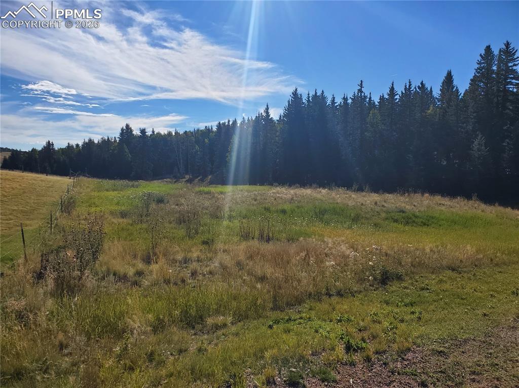 309 Pinaceae Heights Divide CO 80814
