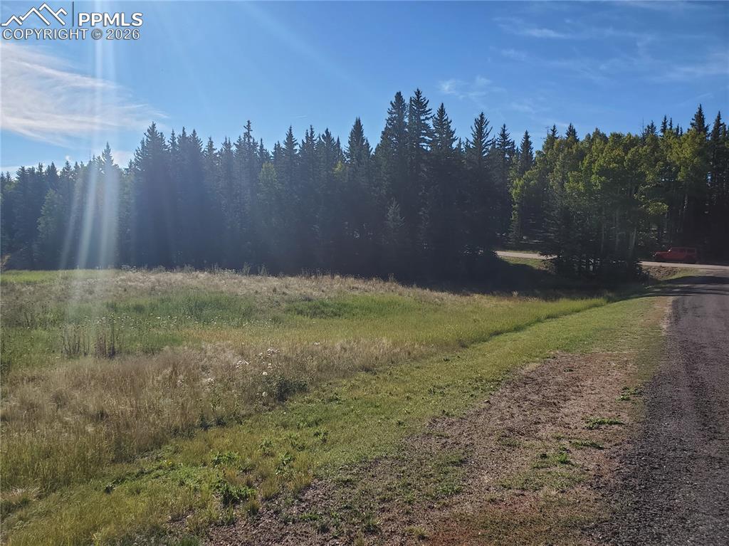 309 Pinaceae Heights Divide CO 80814
