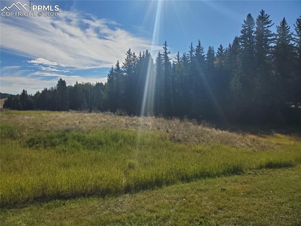 309 Pinaceae Heights Divide CO 80814