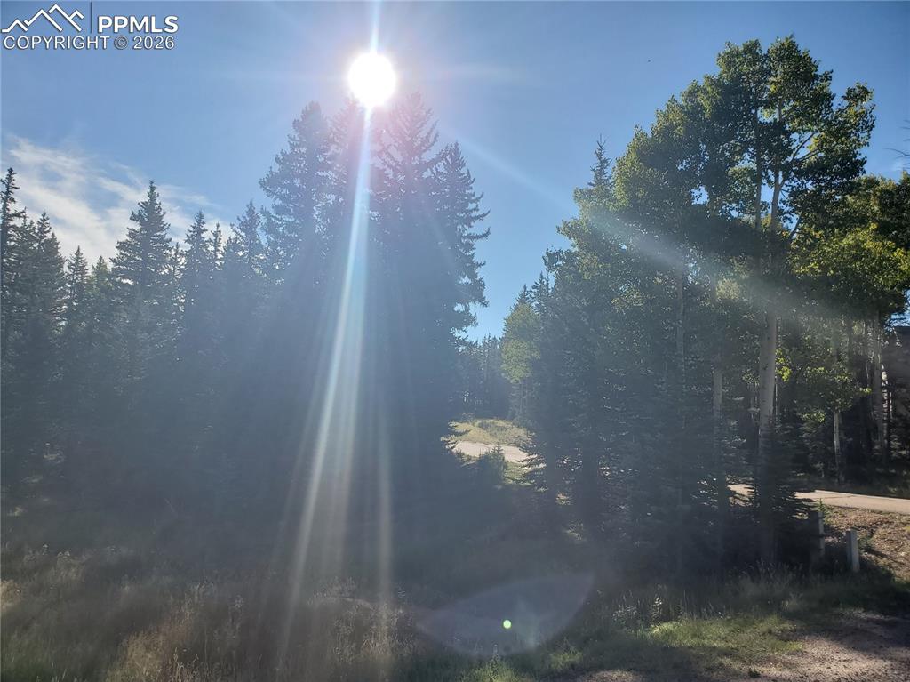 309 Pinaceae Heights Divide CO 80814