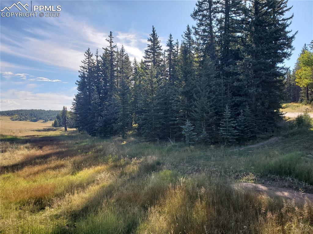 309 Pinaceae Heights Divide CO 80814