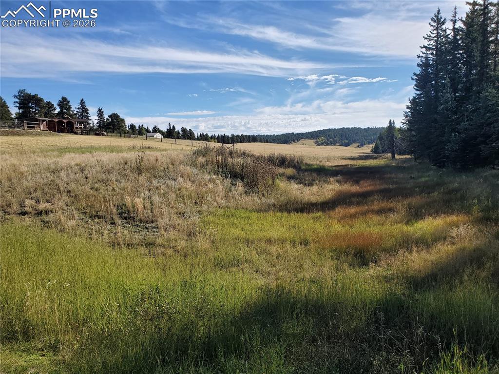 309 Pinaceae Heights Divide CO 80814