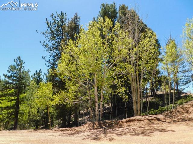 51 Mariposa Drive Cripple Creek CO 80813