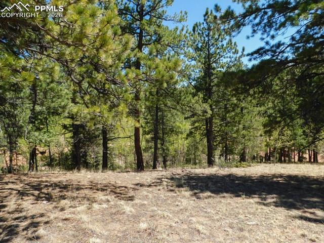 51 Mariposa Drive Cripple Creek CO 80813