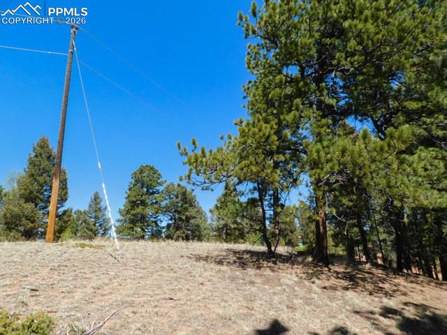 51 Mariposa Drive Cripple Creek CO 80813