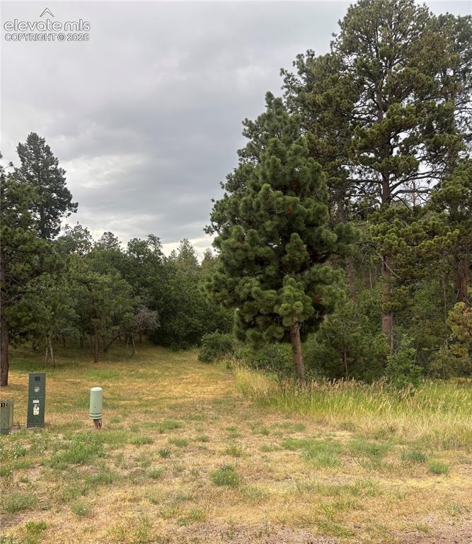 1455 Blueberry Hills Road Monument CO 80132
