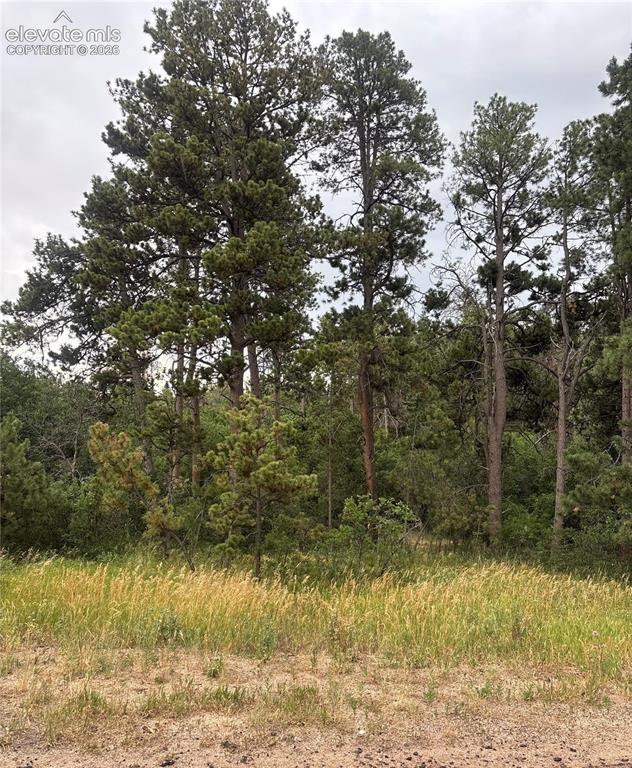 1455 Blueberry Hills Road Monument CO 80132