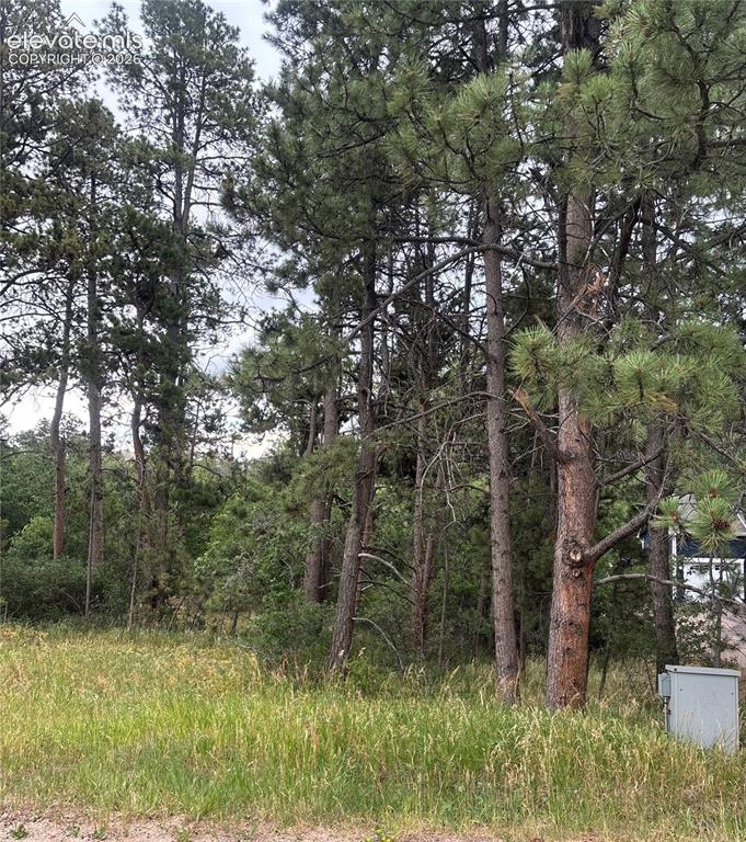 1455 Blueberry Hills Road Monument CO 80132