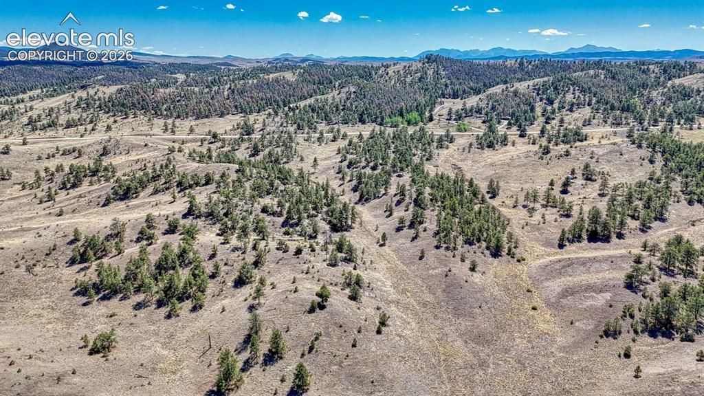 Lot 11 Highway 9 Hartsel CO 80449