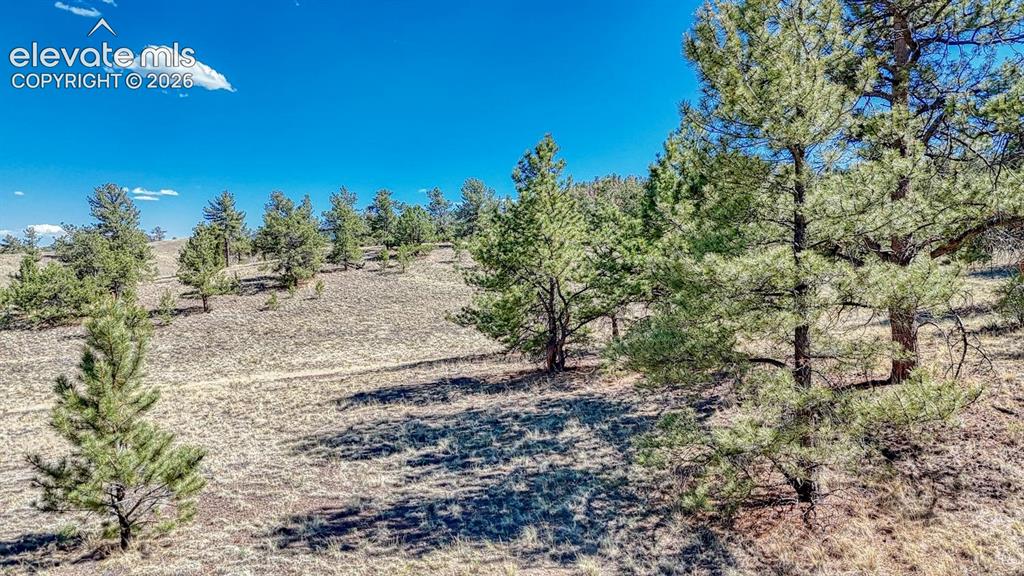 Lot 11 Highway 9 Hartsel CO 80449