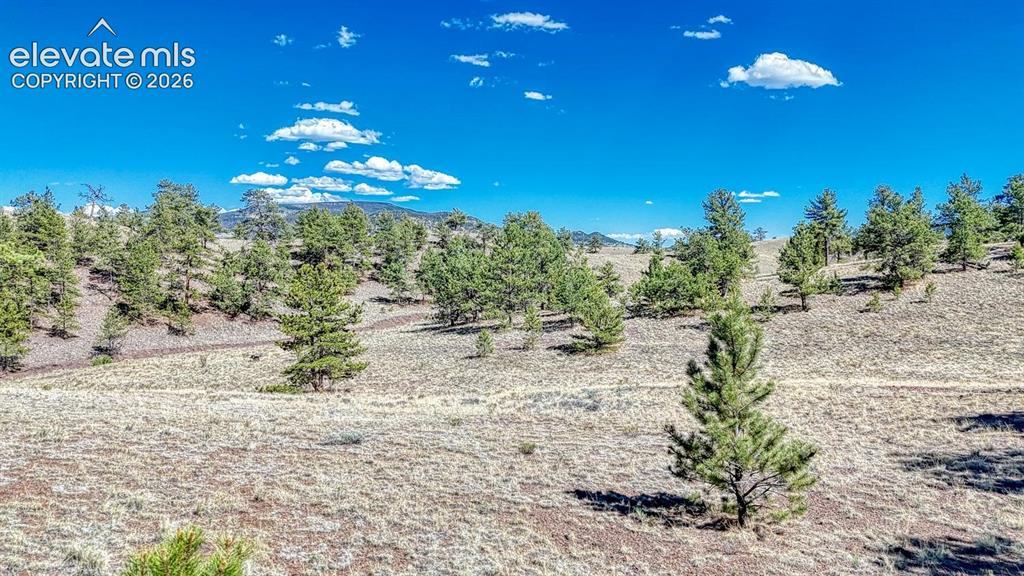 Lot 11 Highway 9 Hartsel CO 80449