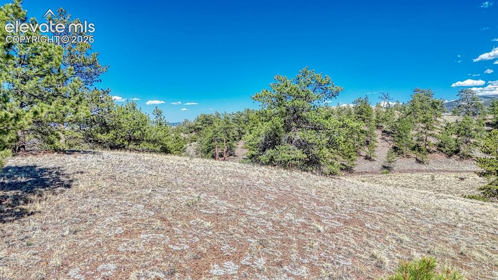 Lot 11 Highway 9 Hartsel CO 80449