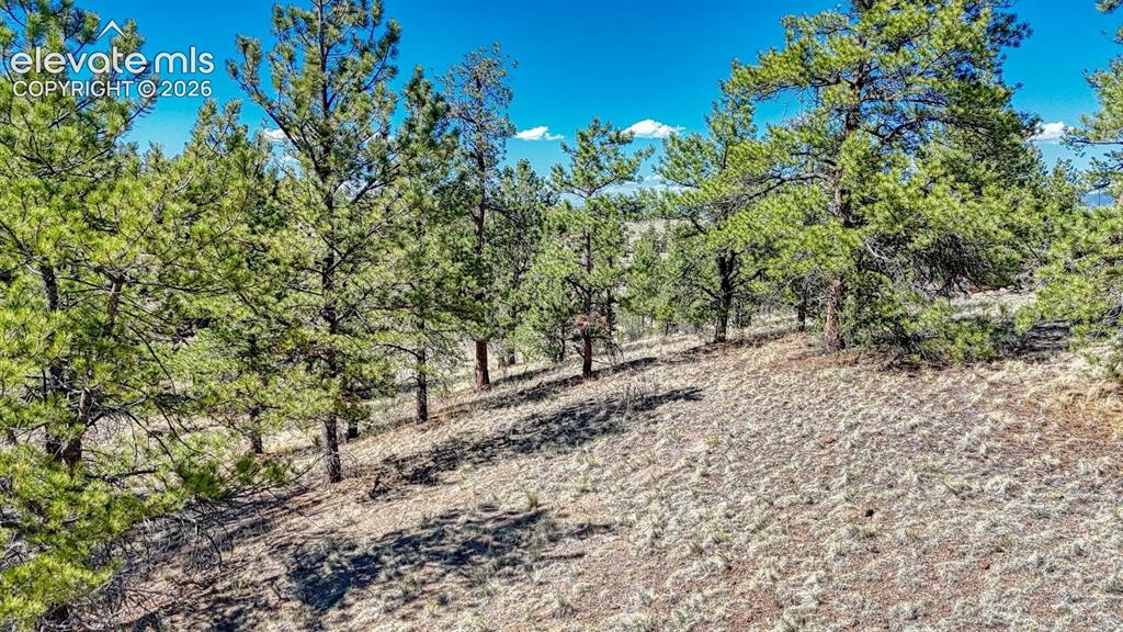 Lot 11 Highway 9 Hartsel CO 80449