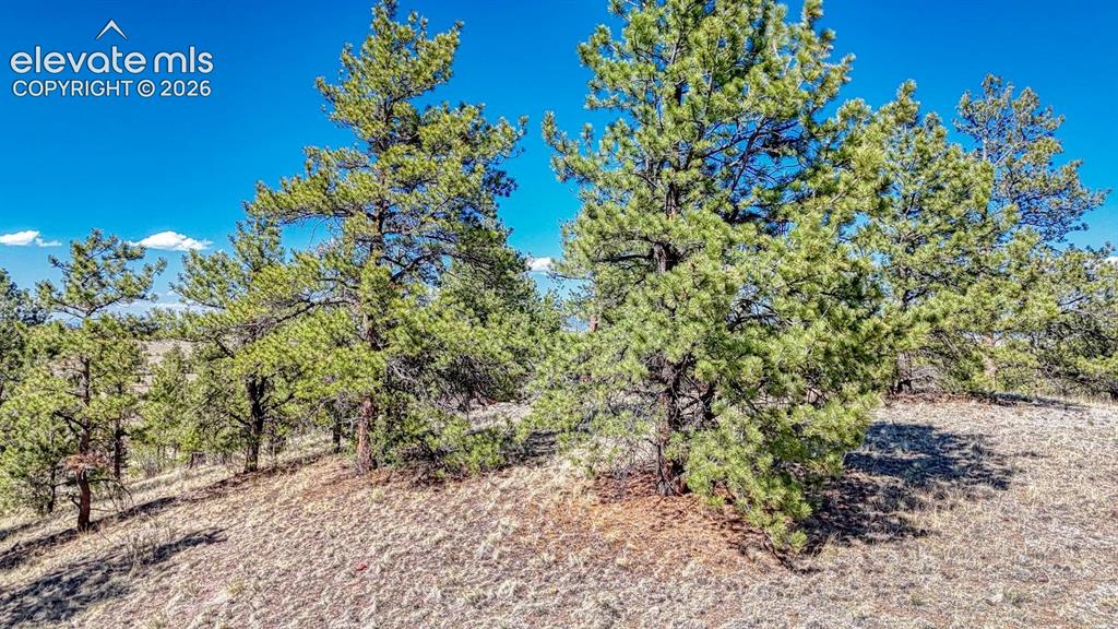 Lot 11 Highway 9 Hartsel CO 80449