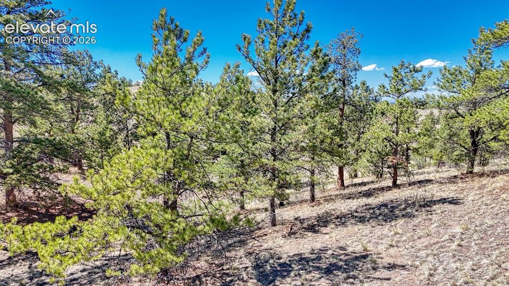 Lot 11 Highway 9 Hartsel CO 80449
