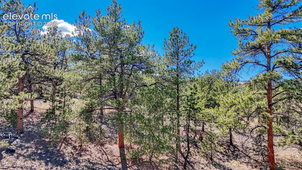 Lot 11 Highway 9 Hartsel CO 80449