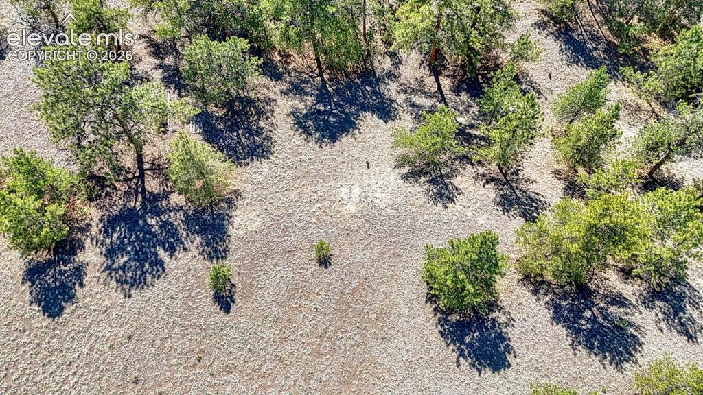 Lot 11 Highway 9 Hartsel CO 80449