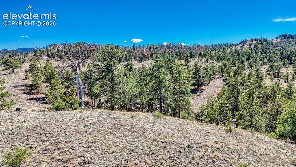 Lot 11 Highway 9 Hartsel CO 80449