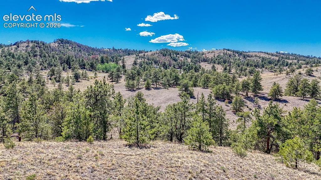 Lot 11 Highway 9 Hartsel CO 80449