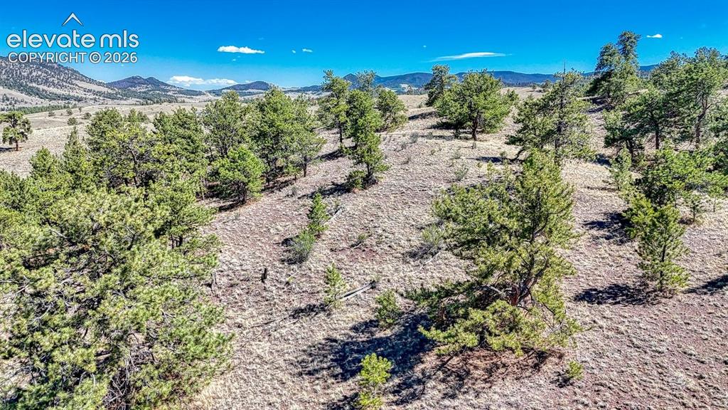 Lot 11 Highway 9 Hartsel CO 80449