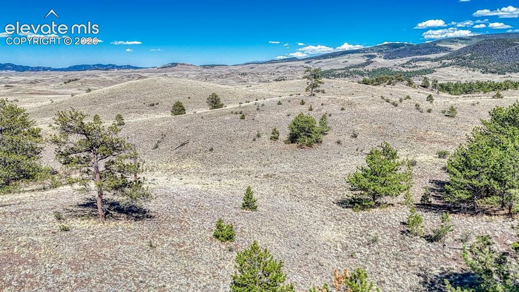 Lot 11 Highway 9 Hartsel CO 80449