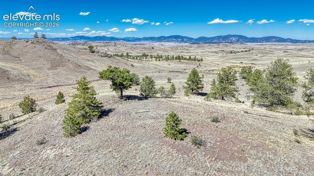 Lot 11 Highway 9 Hartsel CO 80449