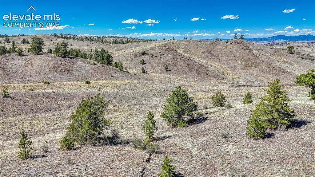 Lot 11 Highway 9 Hartsel CO 80449