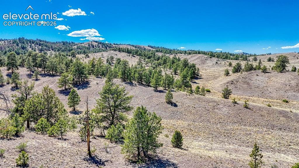 Lot 11 Highway 9 Hartsel CO 80449