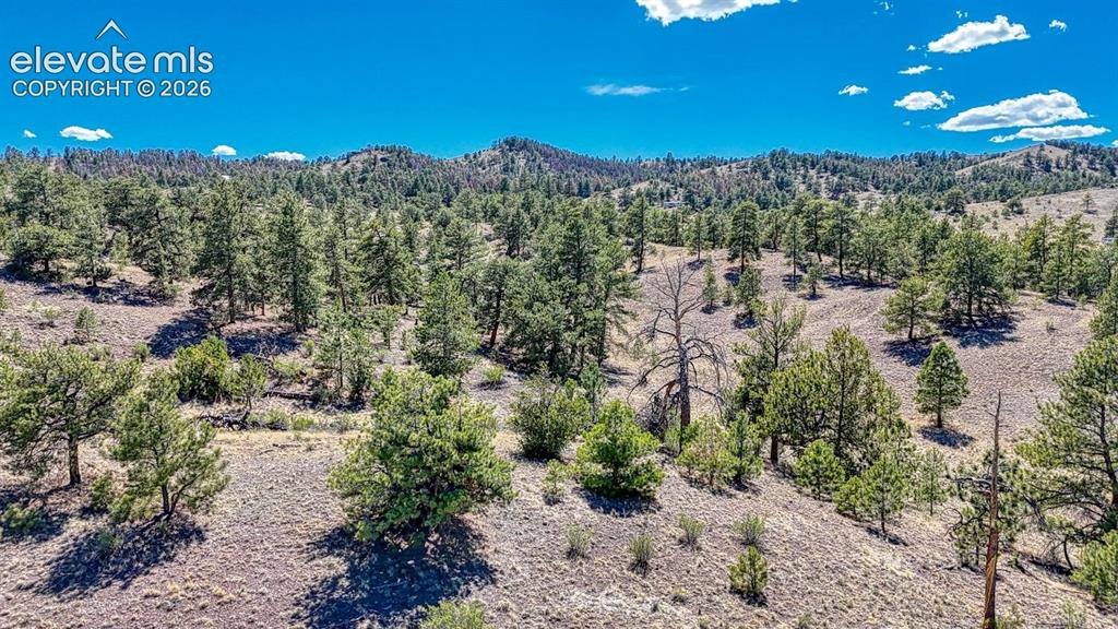 Lot 11 Highway 9 Hartsel CO 80449