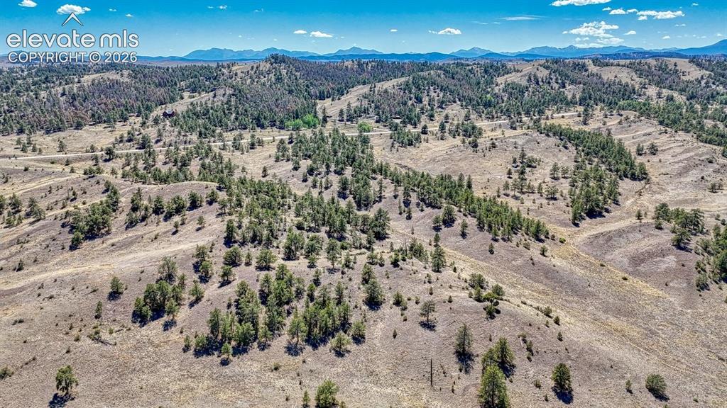 Lot 11 Highway 9 Hartsel CO 80449