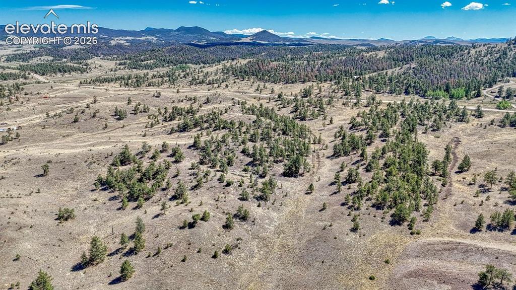 Lot 11 Highway 9 Hartsel CO 80449