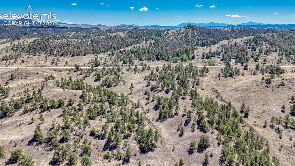 Lot 11 Highway 9 Hartsel CO 80449
