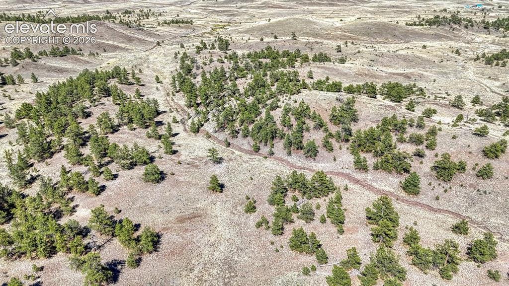 Lot 11 Highway 9 Hartsel CO 80449