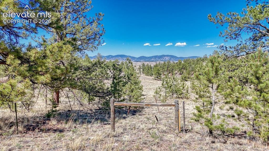 Lot 11 Highway 9 Hartsel CO 80449